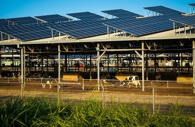Instalación de planta solar sobre cubiertas de ganadería Nébula Energía